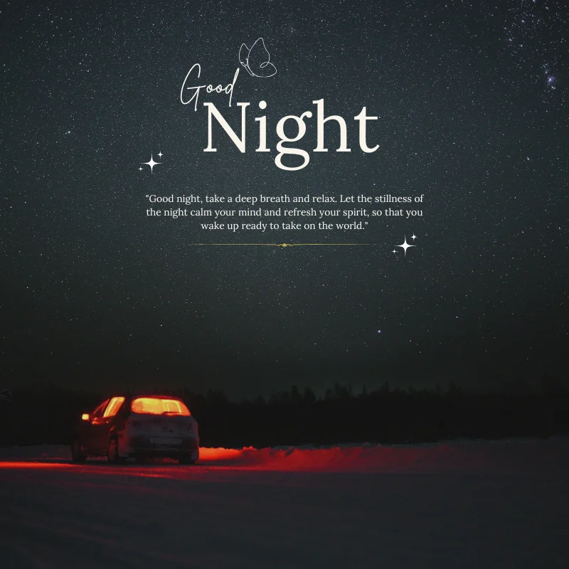 Good Night Shayari in Hindi for Boy Friends Good Night Shayari Images