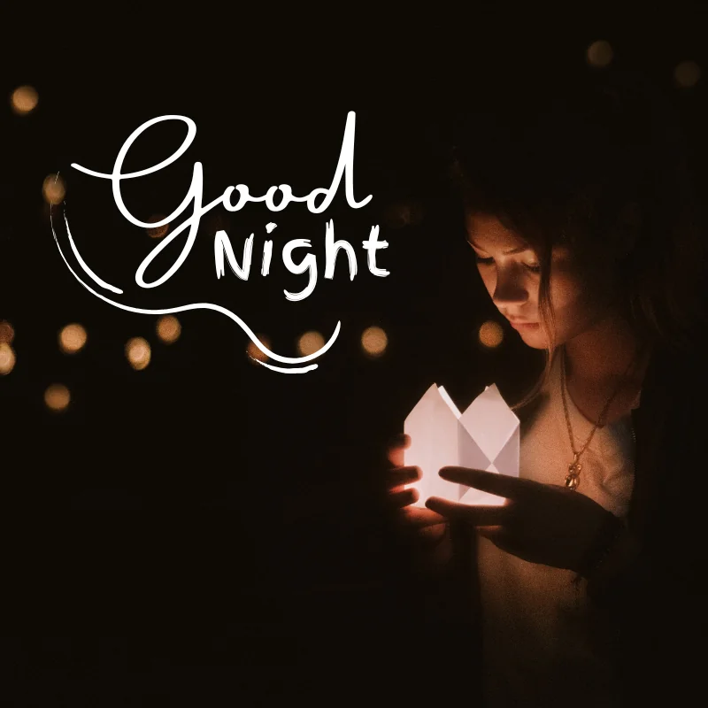 Friends Good Night Shayari Good Night Shayari for Love