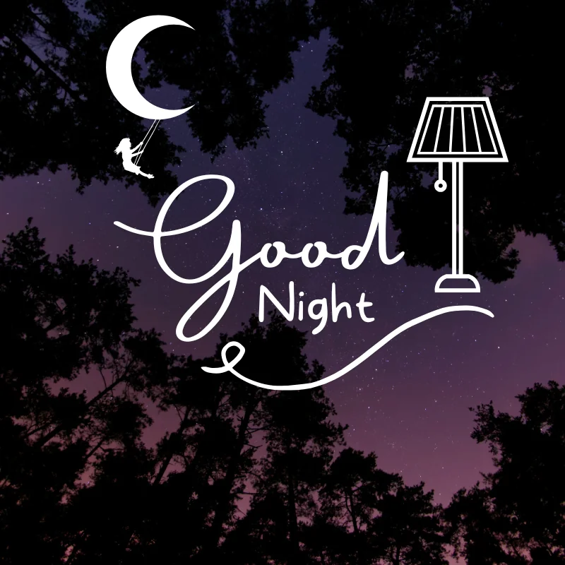 Good Night Shayari for Girlfriend Good Night Shayari for Wife