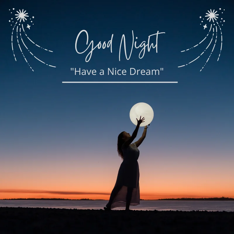 Emotional Good Night Shayari Good Night Shayari in Hindi