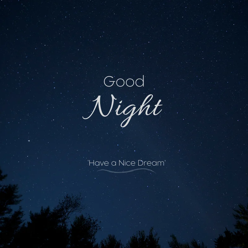 Romantic Good Night Shayari Romantic Good Night Shayari