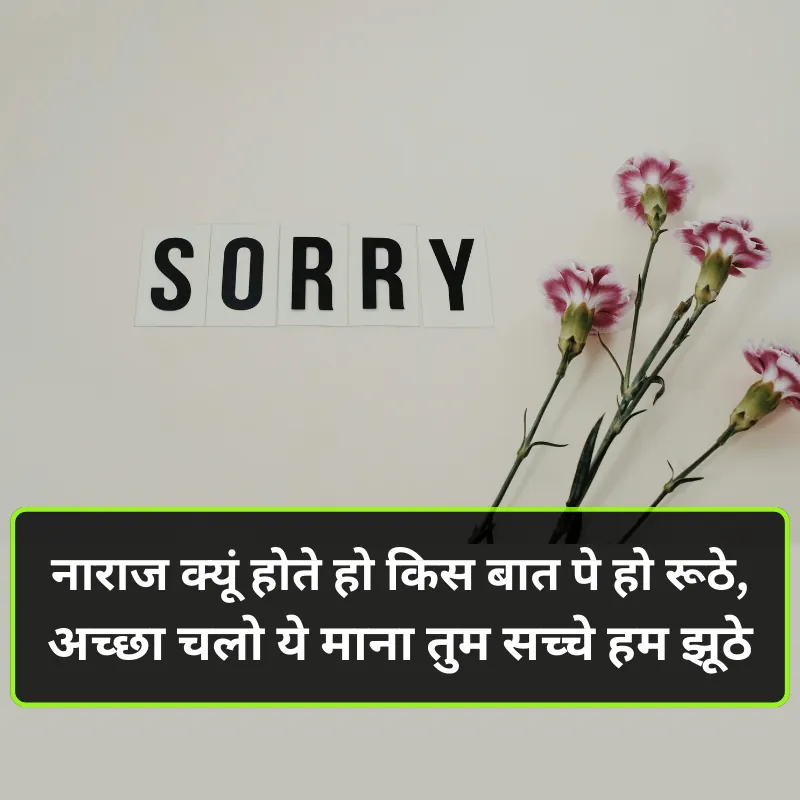 Sorry Shayari Sorry Shayari